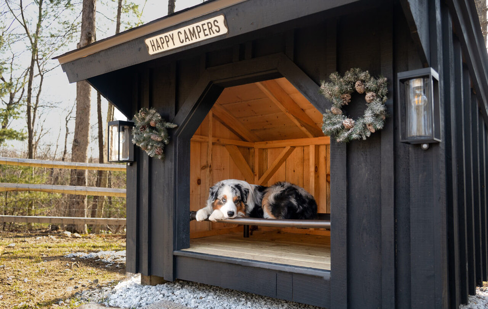 Kuranda Dog Beds visits Kaylene Scotton at Harmony Hill Australian
