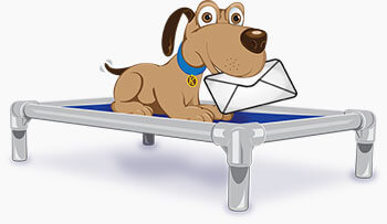 Subscribe Kuranda Dog