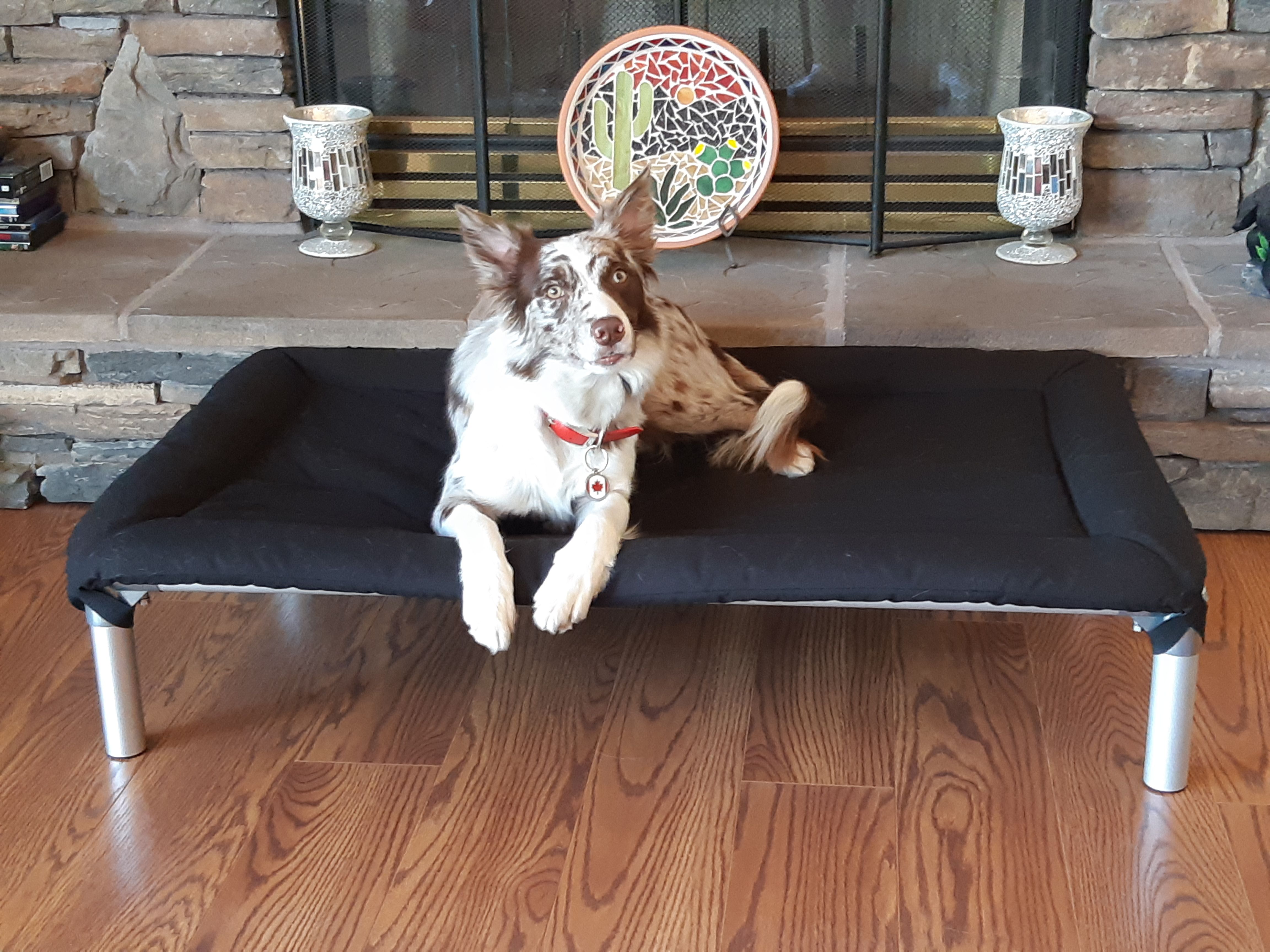 Border Collie Dog Beds Kuranda Dog Beds®
