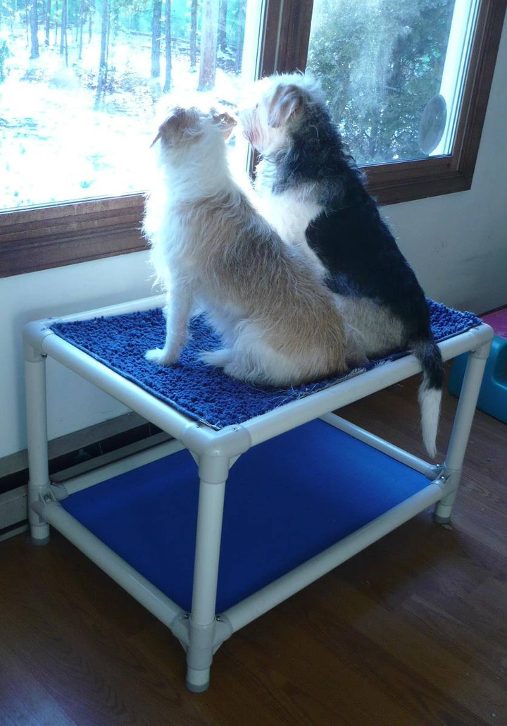 Border Terrier Dog Beds Kuranda Dog Beds®