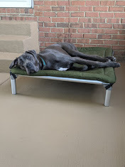 Great dane beds for clearance sale