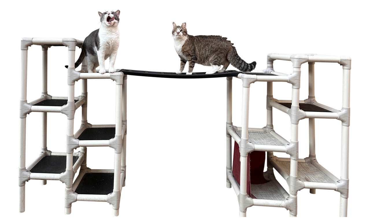 Kuranda Feline Freeway