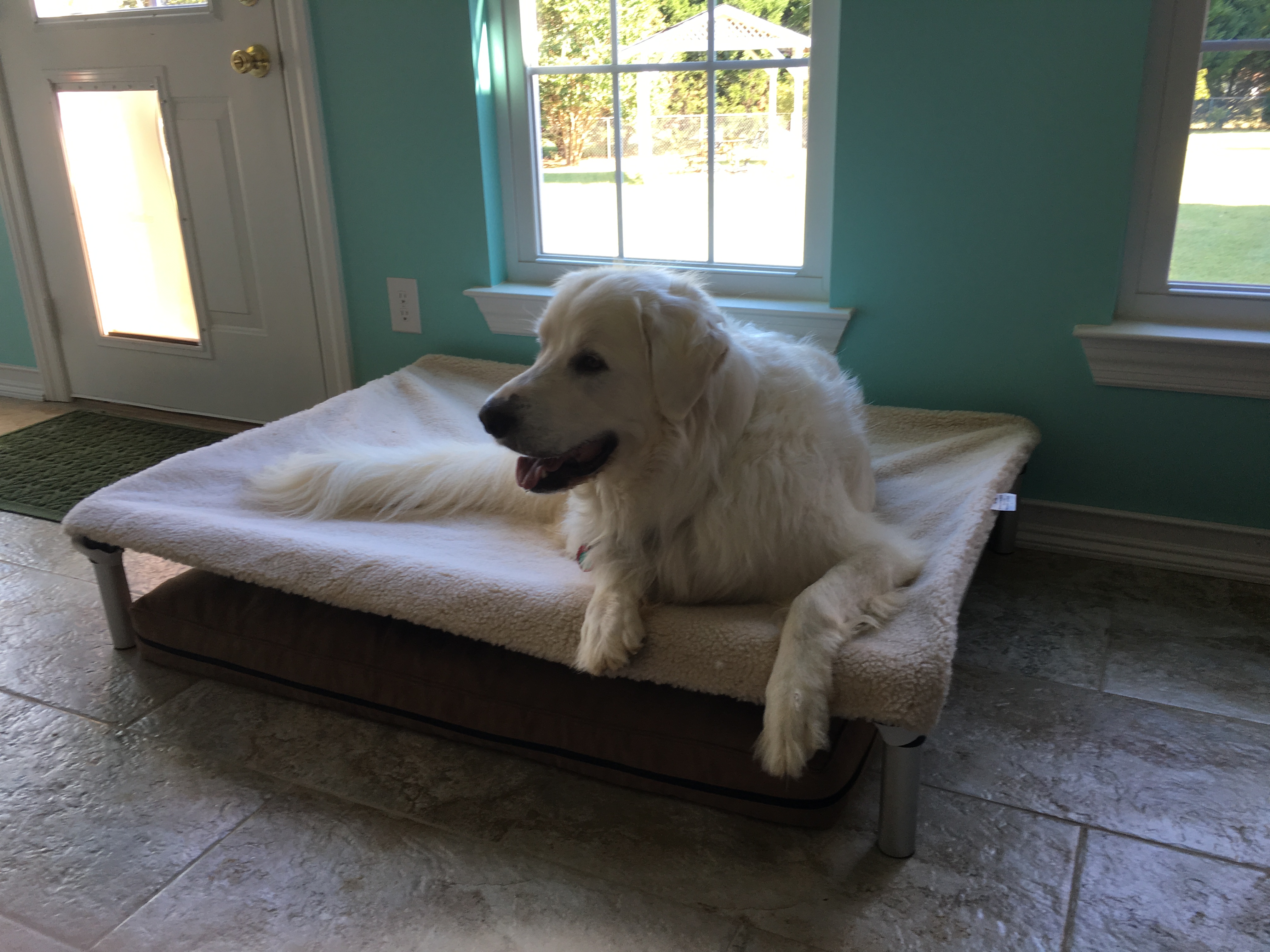 Great Pyrenees Dog Beds Kuranda Dog Beds®