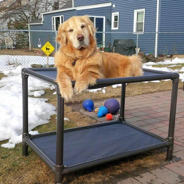 Working Dog Beds Kuranda Dog Beds®