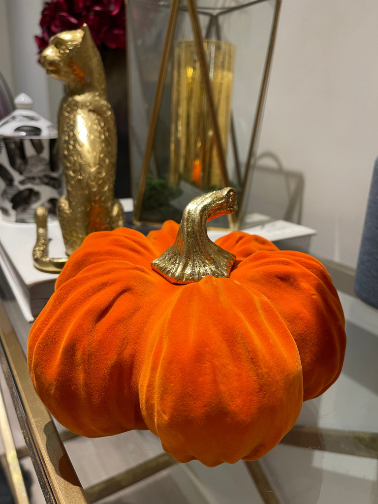 Velvet Pumpkin Display 