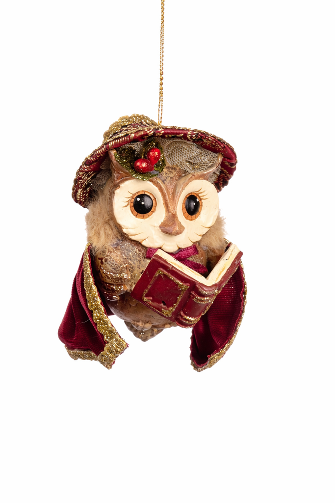 Goodwill 2026 Mrs Owl Carol Singer.