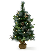 Christmas Tree Decoration Display. Christmas Tree Decoration Display.
