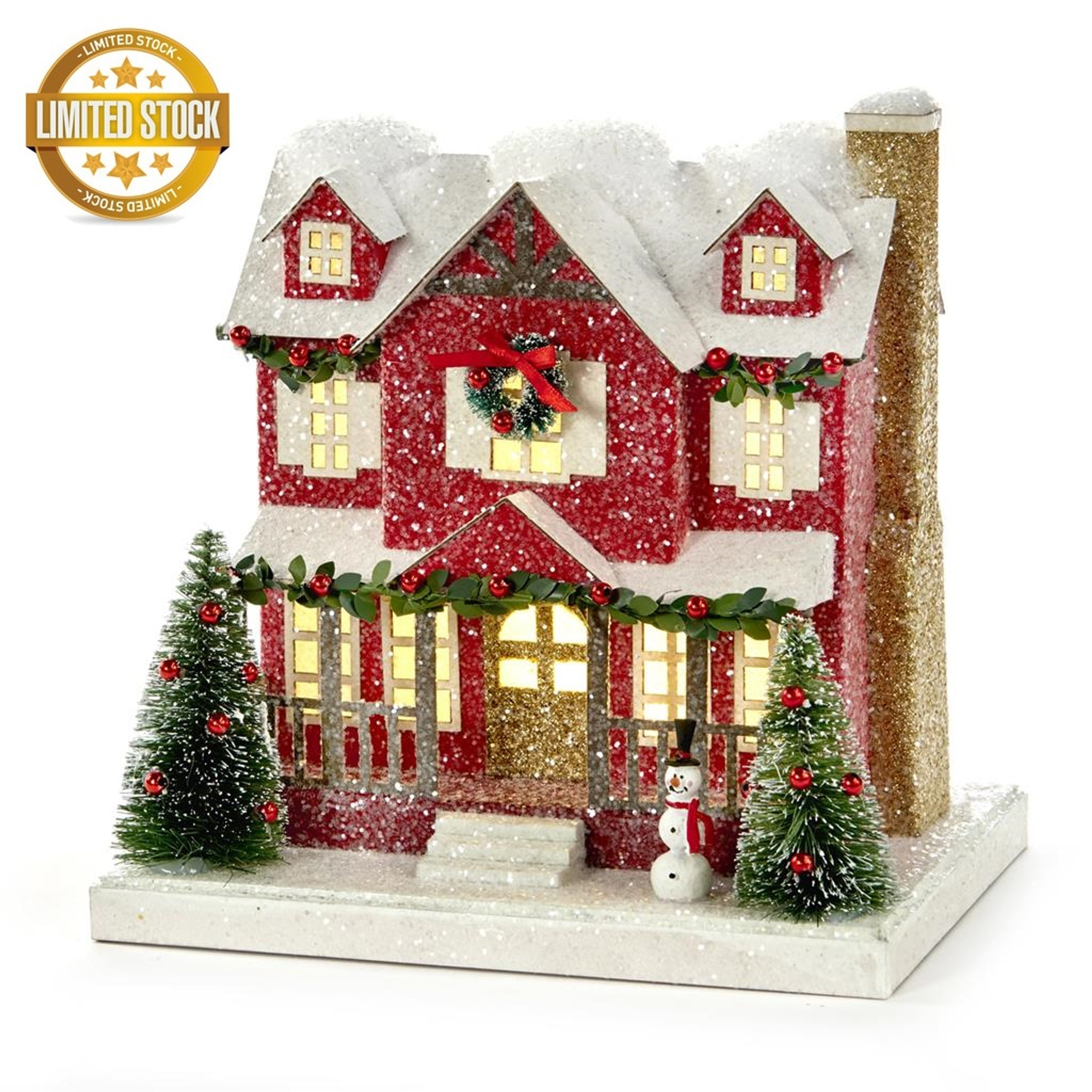 Christmas LED Lit House