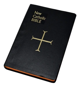 St. Joseph New Catholic Bible (Large Type) 614/10B