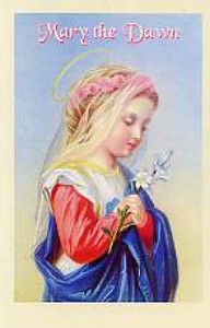 Mary the Dawn: Novena in Honor of the Immaculate Conception Mary the Dawn: Novena in Honor of the Immaculate Conception