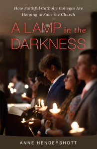 A Lamp in the Darkness - How Faithful Catholic Colleges Are Helping to Save the Church by Anne Hendershott, David Willey