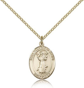 Gold Filled St. Francis of Assisi Pendant, Gold Filled Lite Curb Chain, Medium Size Catholic Medal, 3/4" x 1/2" Gold Filled St. Francis of Assisi Pendant, Gold Filled Lite Curb Chain, Medium Size Catholic Medal, 3/4" x 1/2"