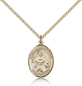 Gold Filled St. Julie Billiart Pendant, Gold Filled Lite Curb Chain, Medium Size Catholic Medal, 3/4" x 1/2" Gold Filled St. Julie Billiart Pendant, Gold Filled Lite Curb Chain, Medium Size Catholic Medal, 3/4" x 1/2"