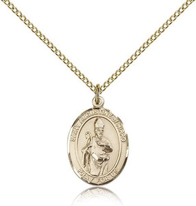 Gold Filled St. Augustine of Hippo Pendant, Gold Filled Lite Curb Chain, Medium Size Catholic Medal, 3/4" x 1/2" Gold Filled St. Augustine of Hippo Pendant, Gold Filled Lite Curb Chain, Medium Size Catholic Medal, 3/4" x 1/2"