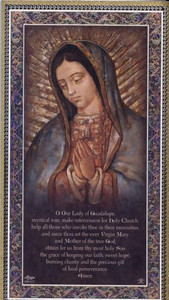 Our Lady Of Guadalupe Wall Plaque E59-217 Our Lady Of Guadalupe Wall Plaque E59-217