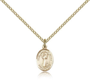 Gold Filled St. Francis of Assisi Pendant, Gold Filled Lite Curb Chain, Small Size Catholic Medal, 1/2" x 1/4" Gold Filled St. Francis of Assisi Pendant, Gold Filled Lite Curb Chain, Small Size Catholic Medal, 1/2" x 1/4"