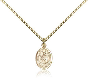 Gold Filled Our Lady of Mount Carmel Pendant, Gold Filled Lite Curb Chain, Small Size Catholic Medal, 1/2" x 1/4" Gold Filled Our Lady of Mount Carmel Pendant, Gold Filled Lite Curb Chain, Small Size Catholic Medal, 1/2" x 1/4"