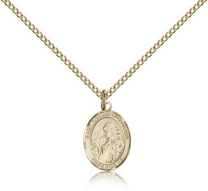 Gold Filled St. Finnian of Clonard Pendant, Gold Filled Lite Curb Chain, Small Size Catholic Medal, 1/2" x 1/4" Gold Filled St. Finnian of Clonard Pendant, Gold Filled Lite Curb Chain, Small Size Catholic Medal, 1/2" x 1/4"