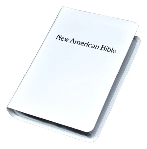 ST. JOSEPH N.A.B. (Personal Size Gift Edition) White Leather 510/13W