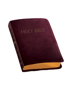 Fireside New American Bible Revised Edition Catholic Companion Edition Fireside New American Bible Revised Edition Catholic Companion Edition