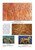 Inside page preview (sample page 3)