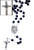 Relic Rosary