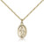 Gold Filled Miraculous Pendant, Gold Filled Lite Curb Chain, 5/8" x 3/8"