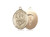 Gold Filled St. George/Paratrooper Pendant, GF Lite Curb Chain, Medium Size Catholic Medal, 3/4" x 1/2" Gold Filled St. George/Paratrooper Pendant, GF Lite Curb Chain, Medium Size Catholic Medal, 3/4" x 1/2"