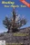 Healing Your Family Tree