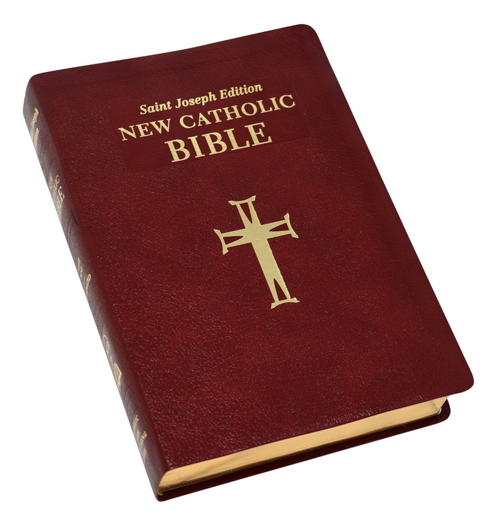 St. Joseph New Catholic Bible Large Type 614/13BG