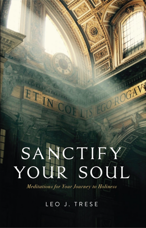 Sanctify Your Soul - Meditations to Guide Your Journey to Holiness by Fr. Leo Trese