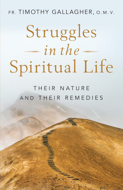 Struggles in the Spiritual Life - Their Name and Their Remedies by Fr. Timothy Gallagher O. M. V.