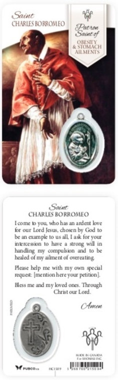 Healing Saints:  Saint Charles Borromeo Holy Card