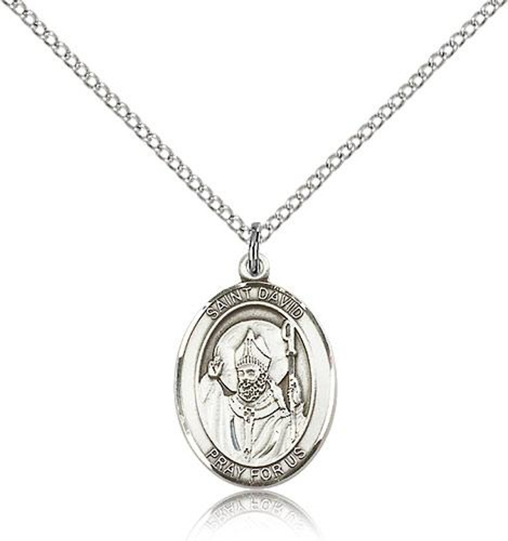 Sterling Silver St. David of Wales Pendant, Lite Curb Chain, Medium Size Catholic Medal, 3/4" x 1/2"
