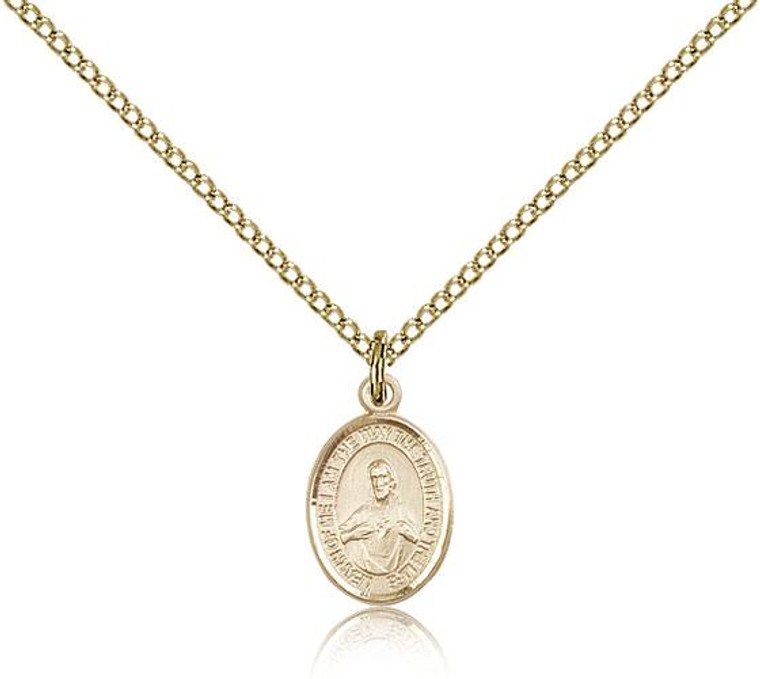 Gold Filled Scapular Pendant, Gold Filled Lite Curb Chain, Small Size Catholic Medal, 1/2" x 1/4"
