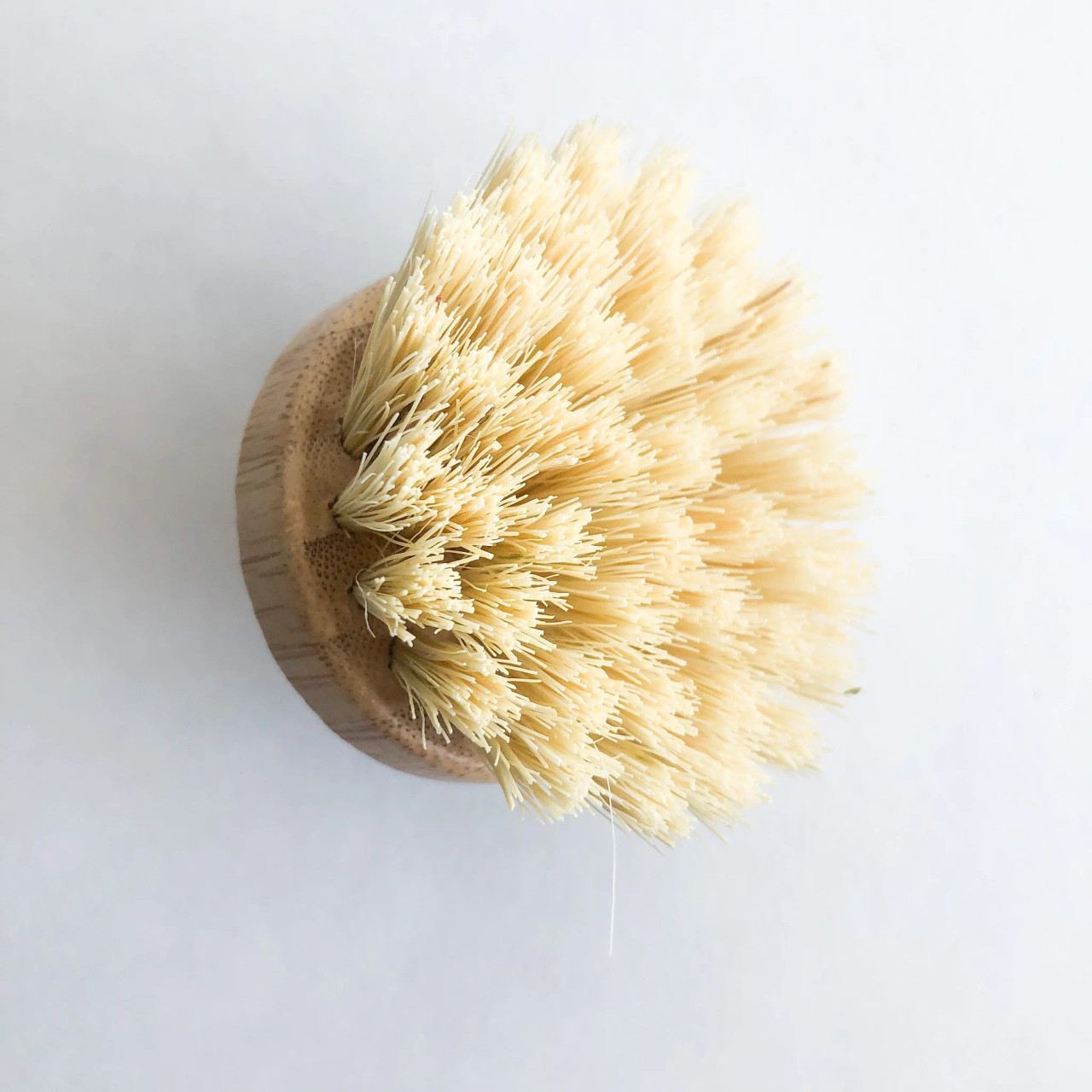 Ecoliving Dish Brush Holder