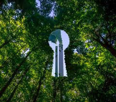 Knowledge is Power - Greenwashing Edition 