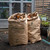 Extra strong garden waste bags. 2-ply full wet strength paper with a flat base to sit squarely on the ground. Made from 100% kraft paper, produced from the wasted pulp and trimmings from the timber industry. Four trees are planted for every tree harvested. Extra strong garden waste bags. 2-ply full wet strength paper with a flat base to sit squarely on the ground. Made from 100% kraft paper, produced from the wasted pulp and trimmings from the timber industry. Four trees are planted for every tree harvested.