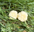 Enjoy a quieter night’s sleep with Beehugz Natural Beeswax Earplugs. Handmade using just four simple ingredients! They gently mould to the shape of your ear for a comfortable, secure fit that stays in place throughout the night.