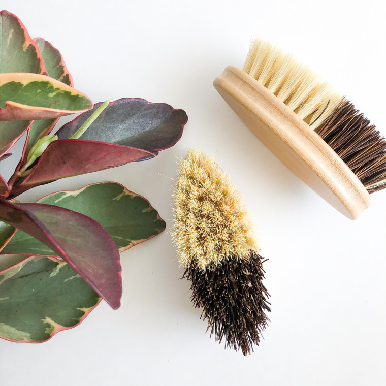 This unique bamboo vegetable brush is perfect for scrubbing a variety of fruit and vegetables but can also be used for scrubbing cookware, floors, kitchens and bathrooms. It’s made from organic bamboo that is naturally anti-microbial and the bristles are made from high quality sisal & palm fibers that are naturally strong and durable. This cleaning brush has an abrasive end and a softer end. Ideal for scrubbing your sink, tile, and floors.