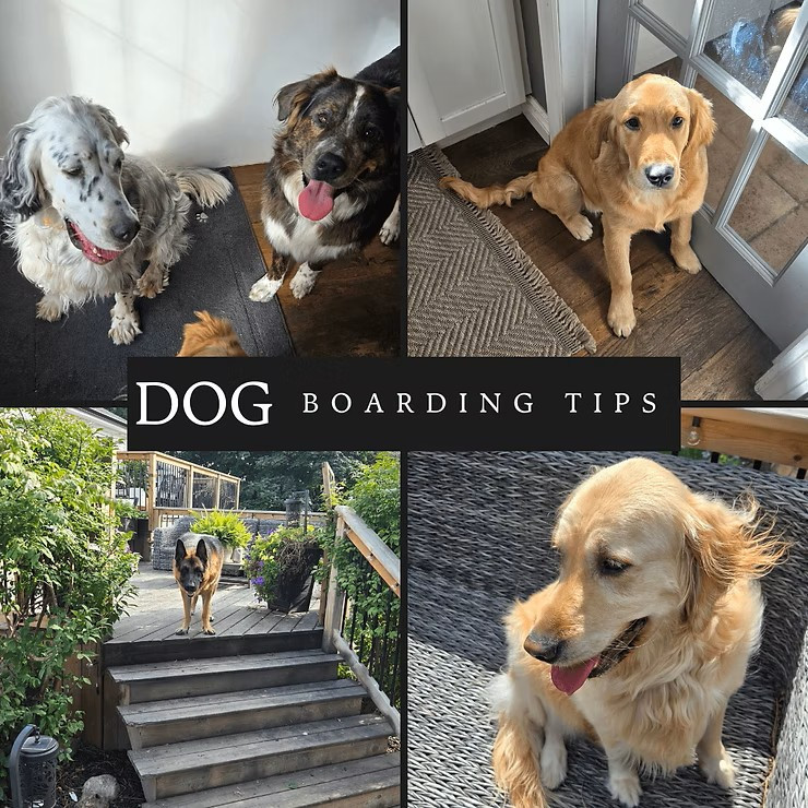 How To Prepare For Boarding