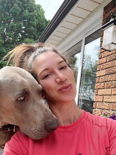 dog boarding near me
