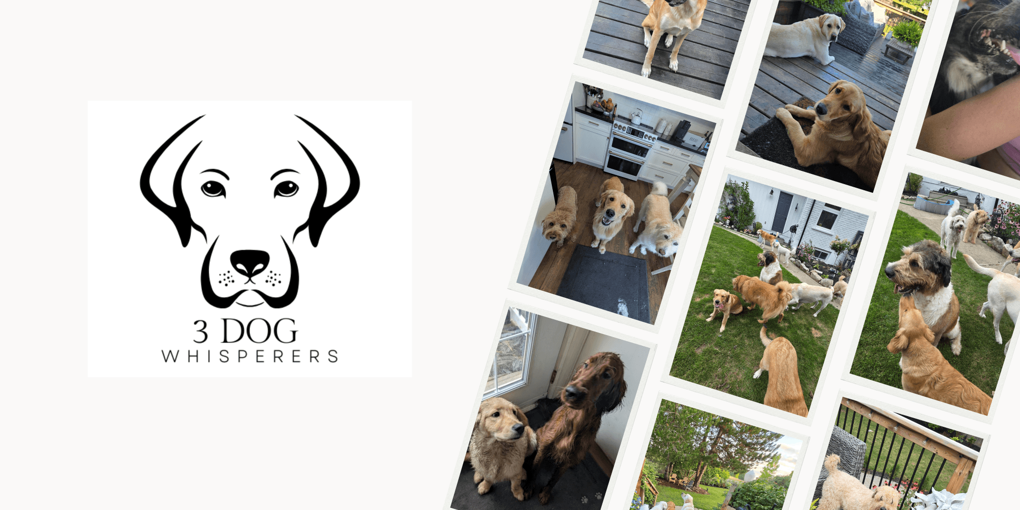 Dog daycare and overnight dog boarding serving Milton, Cambridge, Eden Mills, Moffat, Ospringe, Ballinafad, Brucedale, Limehouse, Speyside and Campbellville Ontario