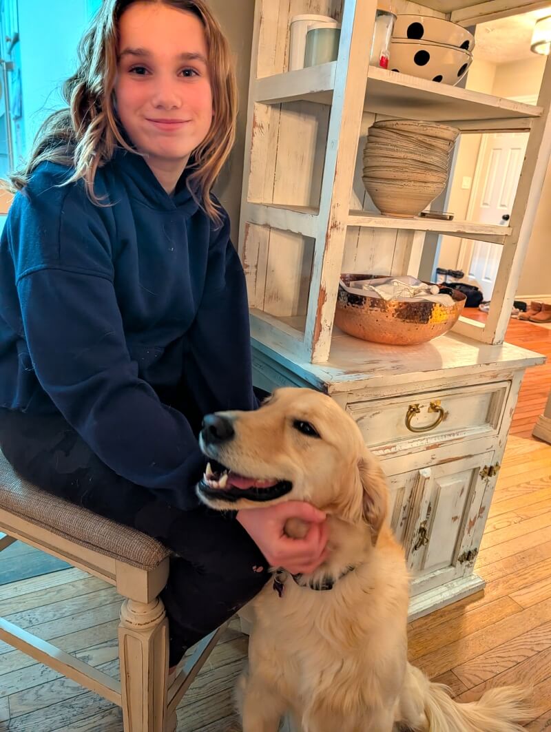 Meet Dallas: A beautiful golden retriever