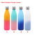 350ml / 500ml / 750ml / 1L METAL Water Bottle- GRADIENT