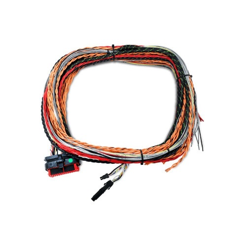 FuelTech 5015006522 Ignition Wiring Harness, 10 ft Long, FTSpark-8 Ignition Module, Unterminated, Each