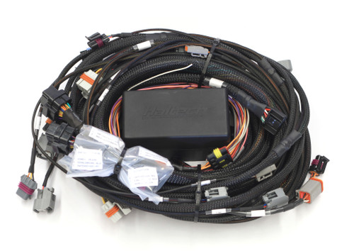 Haltech HT-141362 Engine Wiring Harness, Elite, Retrofit, Main Harness, Drive-By-Wire, Terminated, GM LS-Series, Kit
