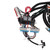 TSP WH1200 LS1/LS6 ECU Wiring Harness, Drive-By-Cable, Manual Transmission-4