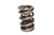 Comp Cams 947-1 Valve Spring, Race Extreme, Triple Spring, 681 lb/in Spring Rate, 1.145 in Coil Bind, 1.660 in OD, Each