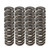 Pac Racing Springs PAC-1233 Valve Spring, 1200 Series, Ovate Beehive Spring, 300 lb/in Spring Rate, 1.060 in Coil Bind, 1.025 in OD, Set of 16